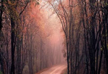 曝新疆队交易阿不都沙拉木！一年前还是CBA得分王，令人唏嘘.