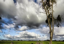 罗体：那不勒斯与国米竞争卢卡，博尼是备选方案.