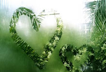 亚博体育：日落西山！杜兰特伤退太阳惨败39分三连败 落后第10国王1.5胜场.